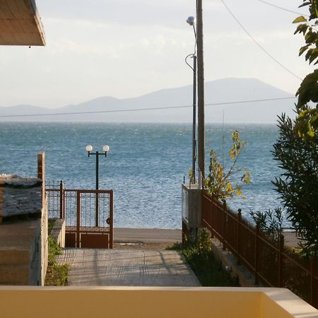 Artemis - Marina Apartments Evia 외부 사진
